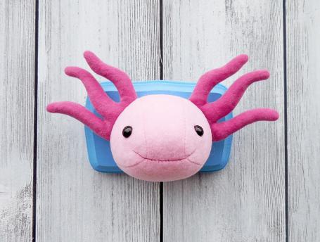 axolotl_1.jpg