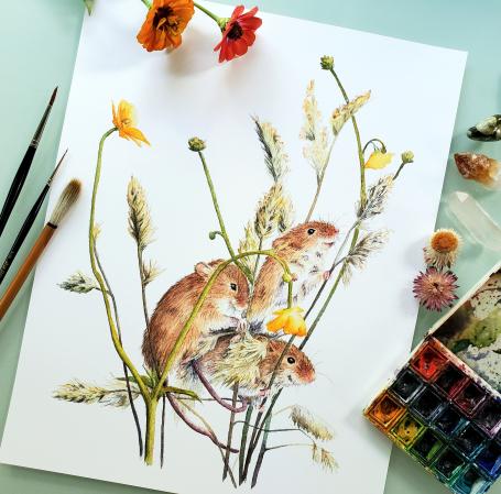 dani-antes-art--harvest-mice-with-buttercups-print.jpg